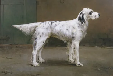 Portret van een hond, 1885